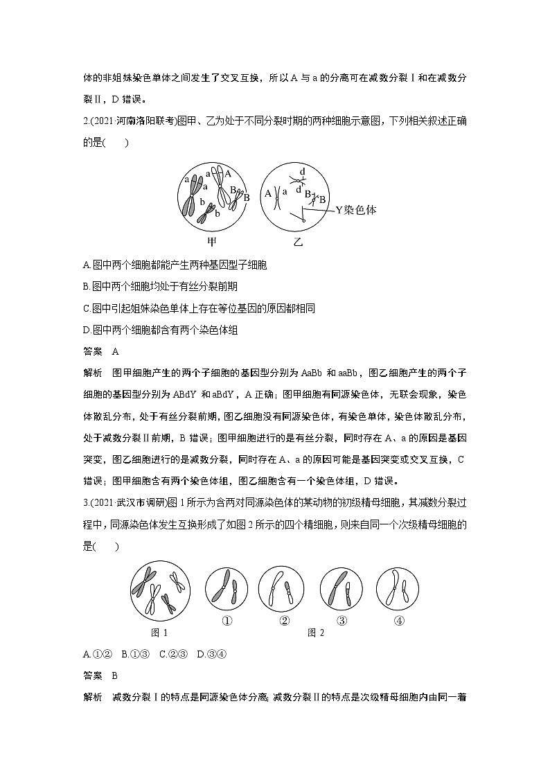 高中生物热点微练13 二轮专题细胞分裂图像中变异类型的判断第2页