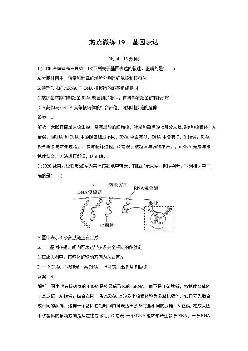高中生物热点微练19 二轮专题基因表达01