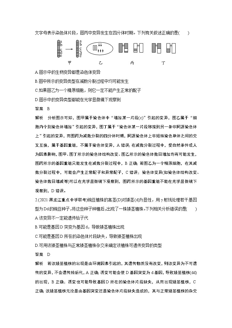 高中生物热点微练20 二轮专题生物变异类型的判断第2页