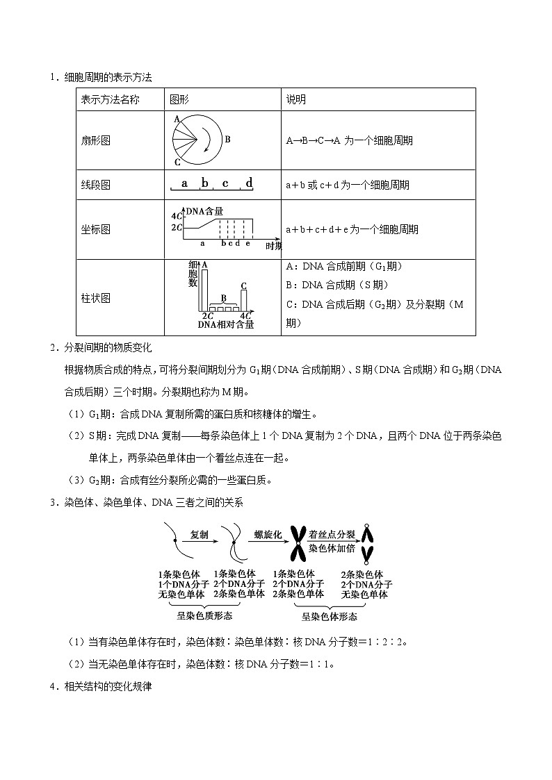 高中生物解密08 有丝分裂和减数分裂(讲义)-【高频考点解密】2021年高考生物二轮复习讲义+分层训练第2页