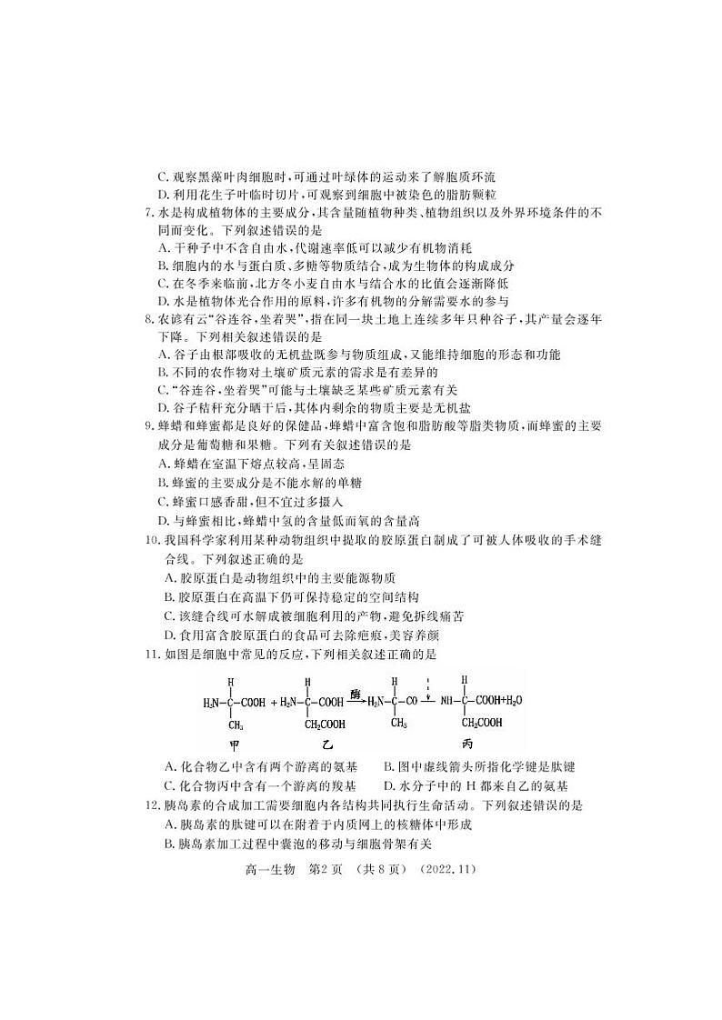 2022-2023洛阳市高一上学期期中生物试卷及答案第2页