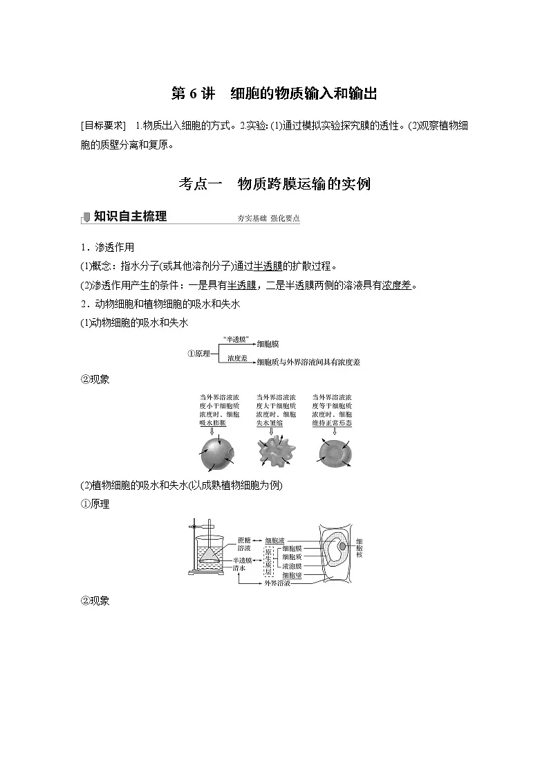 高中生物2022年高考生物一轮复习 第2单元 第6讲 细胞的物质输入和输出第1页