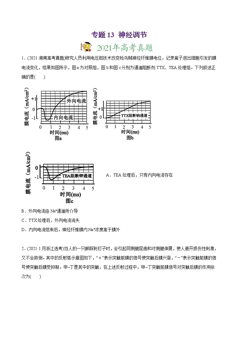 高中生物专题13 神经调节-2021年高考生物真题与模拟题分类训练(学生版)第1页