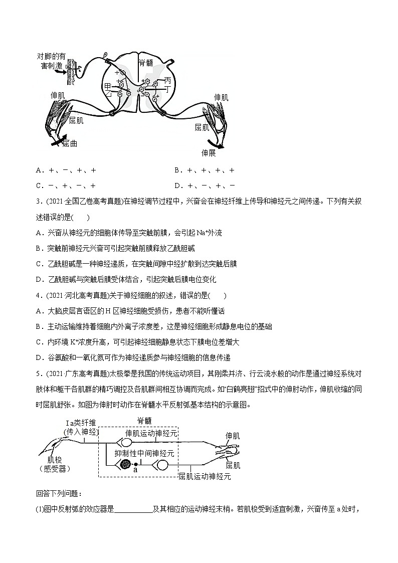 高中生物专题13 神经调节-2021年高考生物真题与模拟题分类训练(学生版)第2页