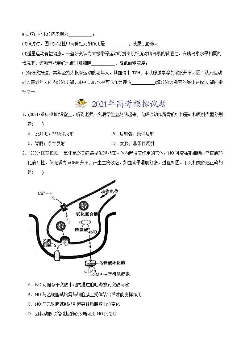 高中生物专题13 神经调节-2021年高考生物真题与模拟题分类训练(学生版)第3页