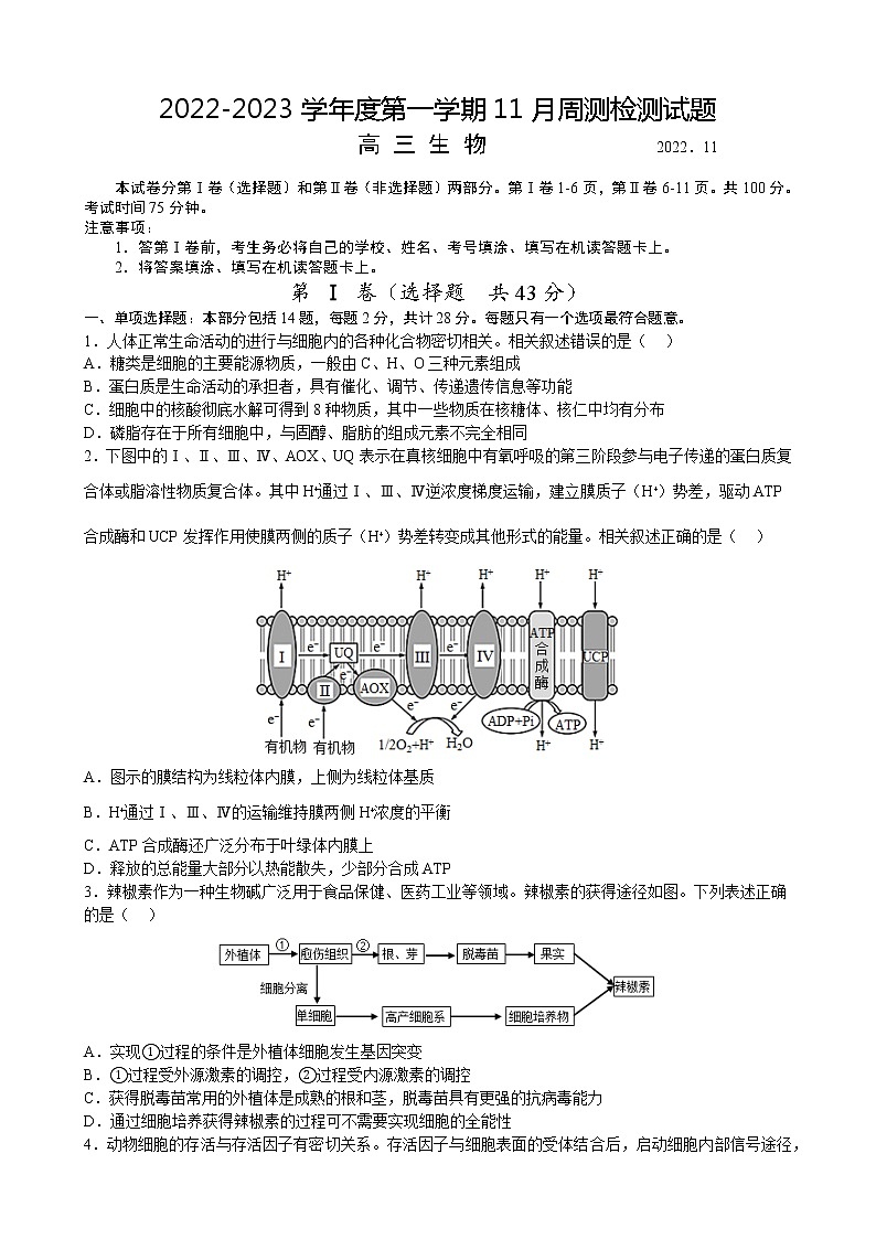 2023扬州中学高三上学期11月双周练月考生物试题答案第1页