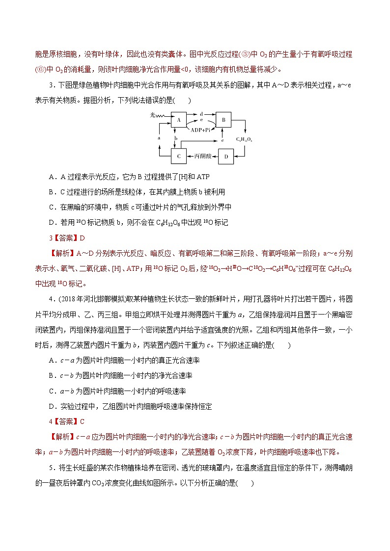 高中生物专题3.4 光合作用和呼吸作用的综合训练(必刷试题)-2021年高考生物大一轮复习紧跟教材(有答案)第2页