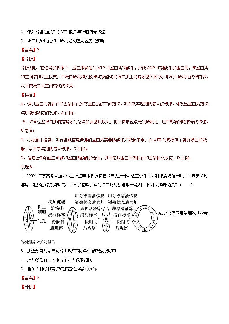 高中生物专题02 物质进出细胞、酶和ATP-2021年高考真题和模拟题生物分项汇编(有答案)第3页