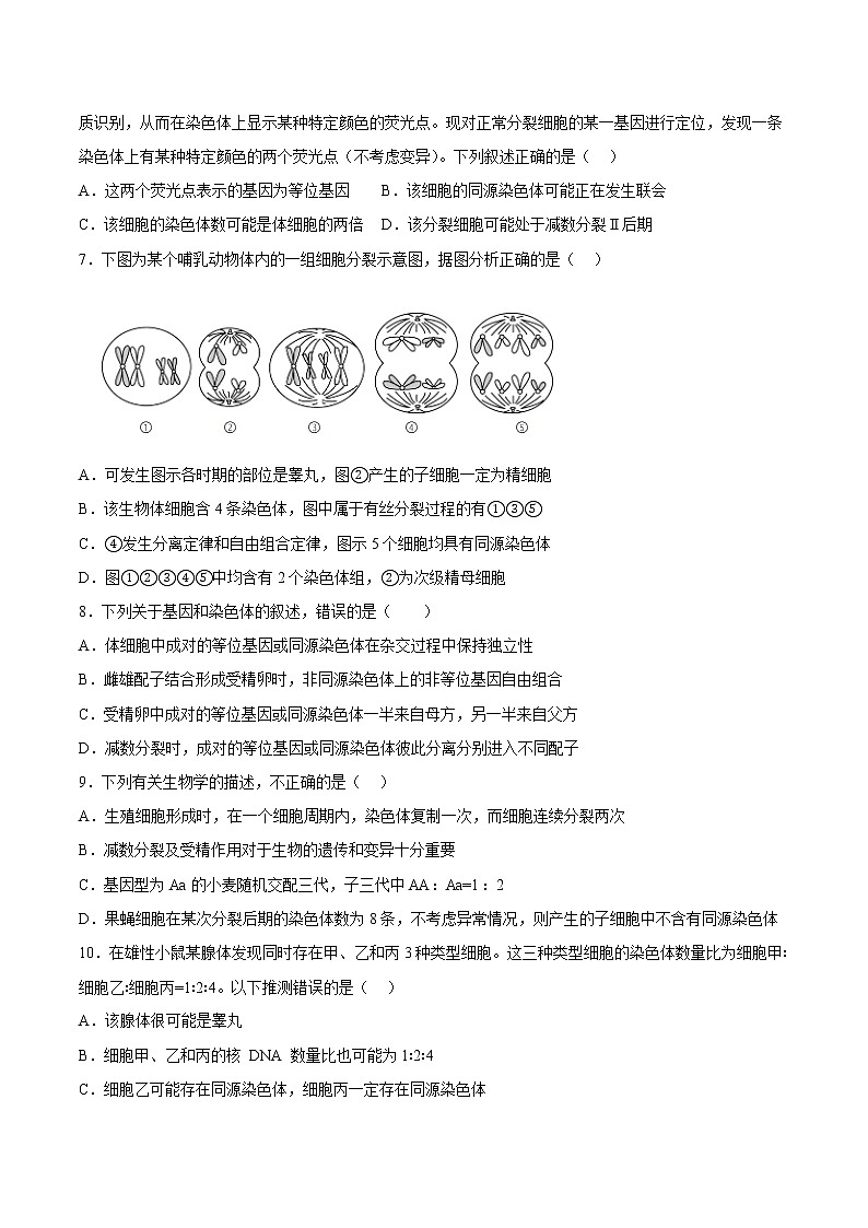 必修2测试卷(原卷版)第2页
