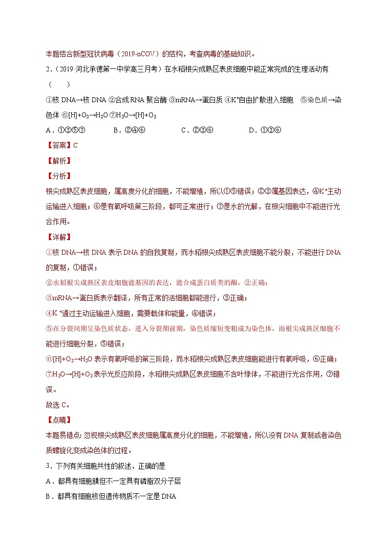高中生物专练08 易混易错50题-2020年高考生物总复习考点必杀800题(有答案)第2页