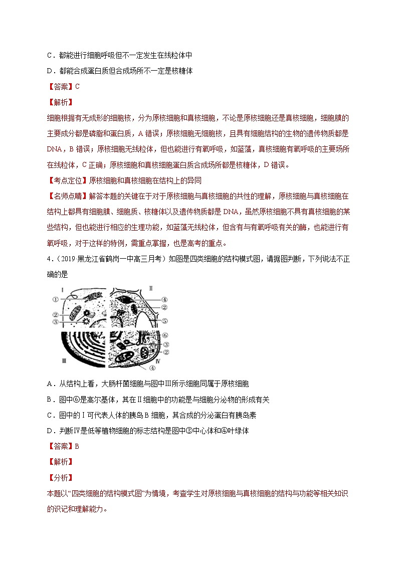 高中生物专练08 易混易错50题-2020年高考生物总复习考点必杀800题(有答案)第3页