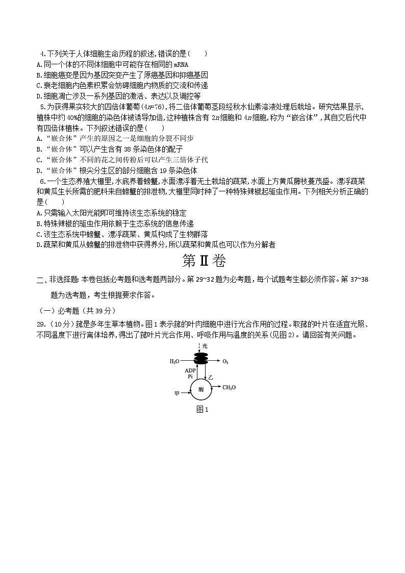 高中生物模拟卷07-【战高考】2021年高考理科综合生物全真模拟卷(无答案)第2页