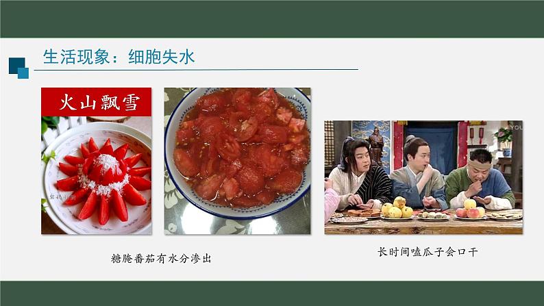 38被动运输(第1课时)第2页