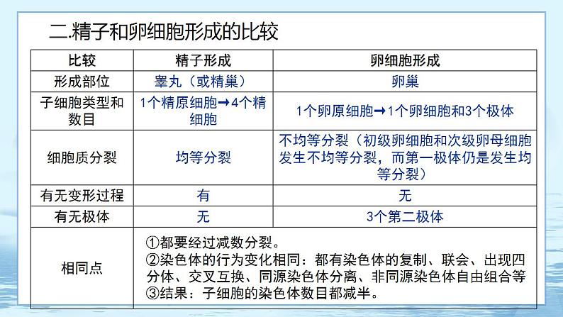 2.1 减数分裂和受精作用(第2课时)第8页