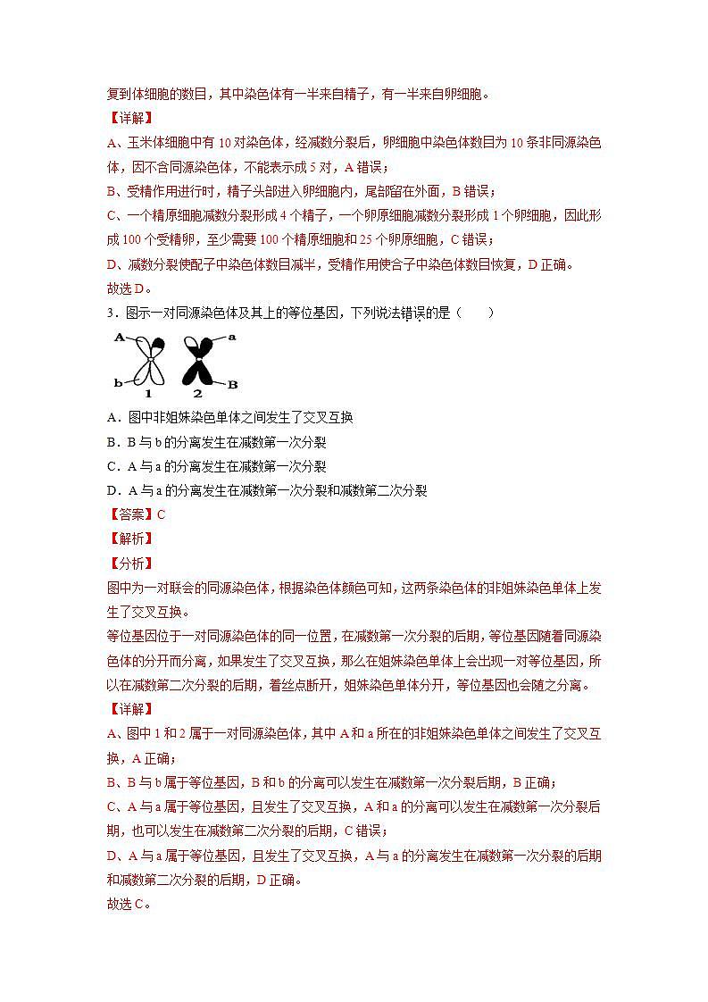 2.1 减数分裂和受精作用-(练习)第2页