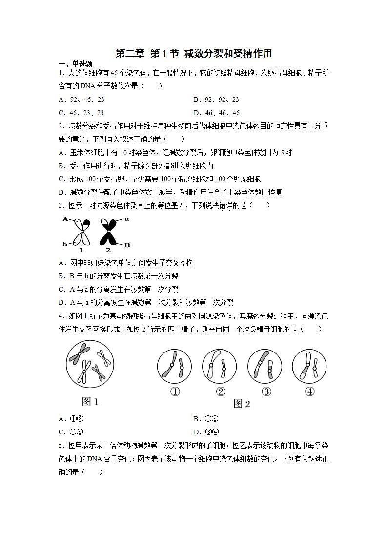 2.1 减数分裂和受精作用-(练习)(含答案解析)第1页