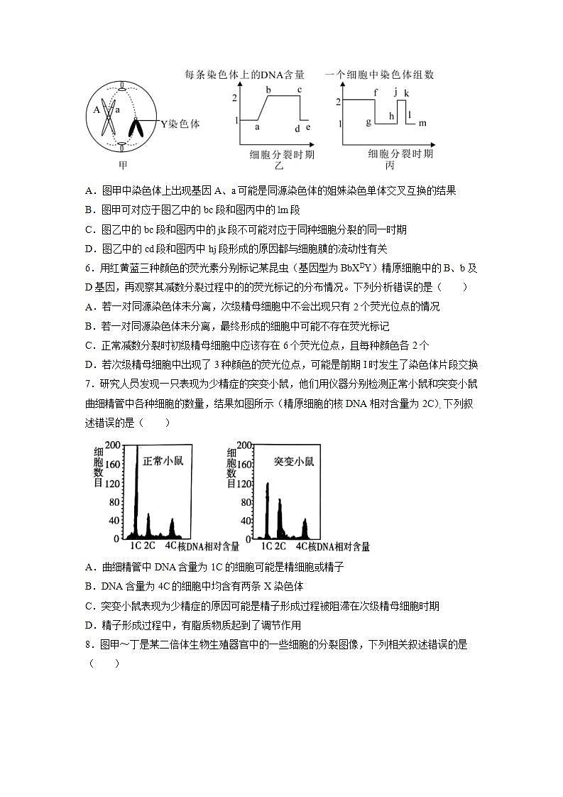 2.1 减数分裂和受精作用-(练习)(含答案解析)第2页