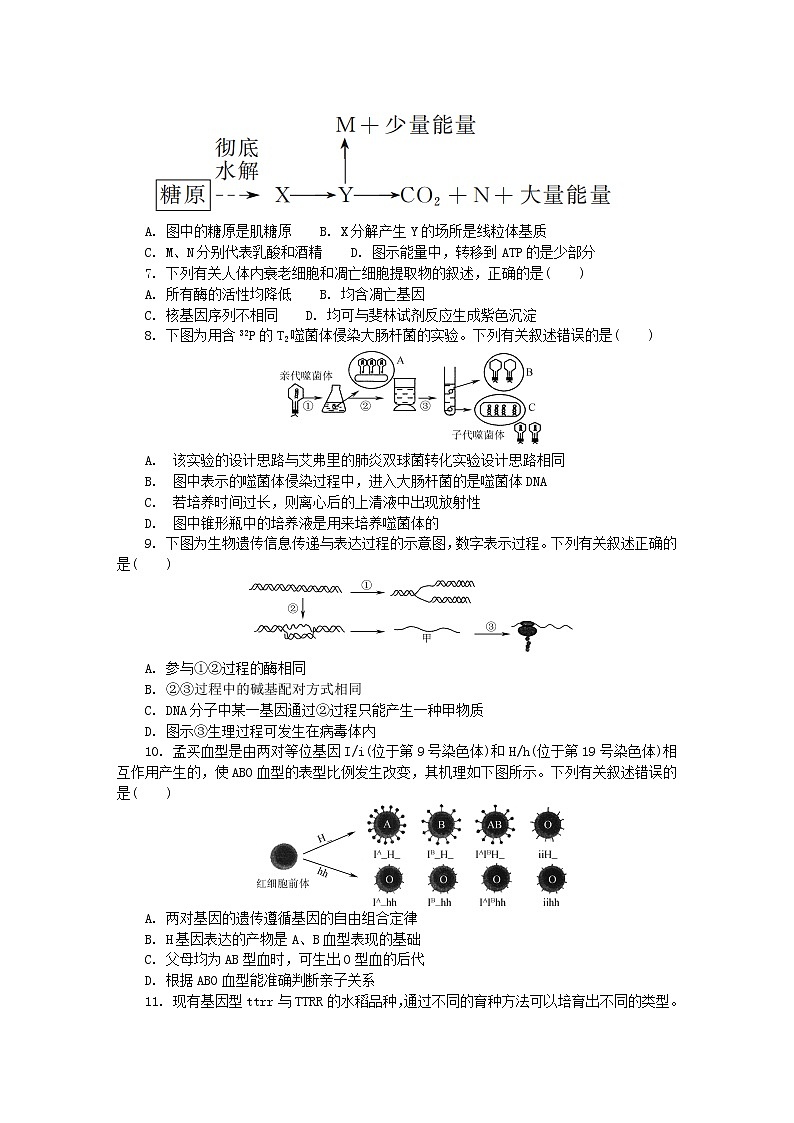 高中生物江苏省盐城市2019届高三生物第四次模拟考试试题02