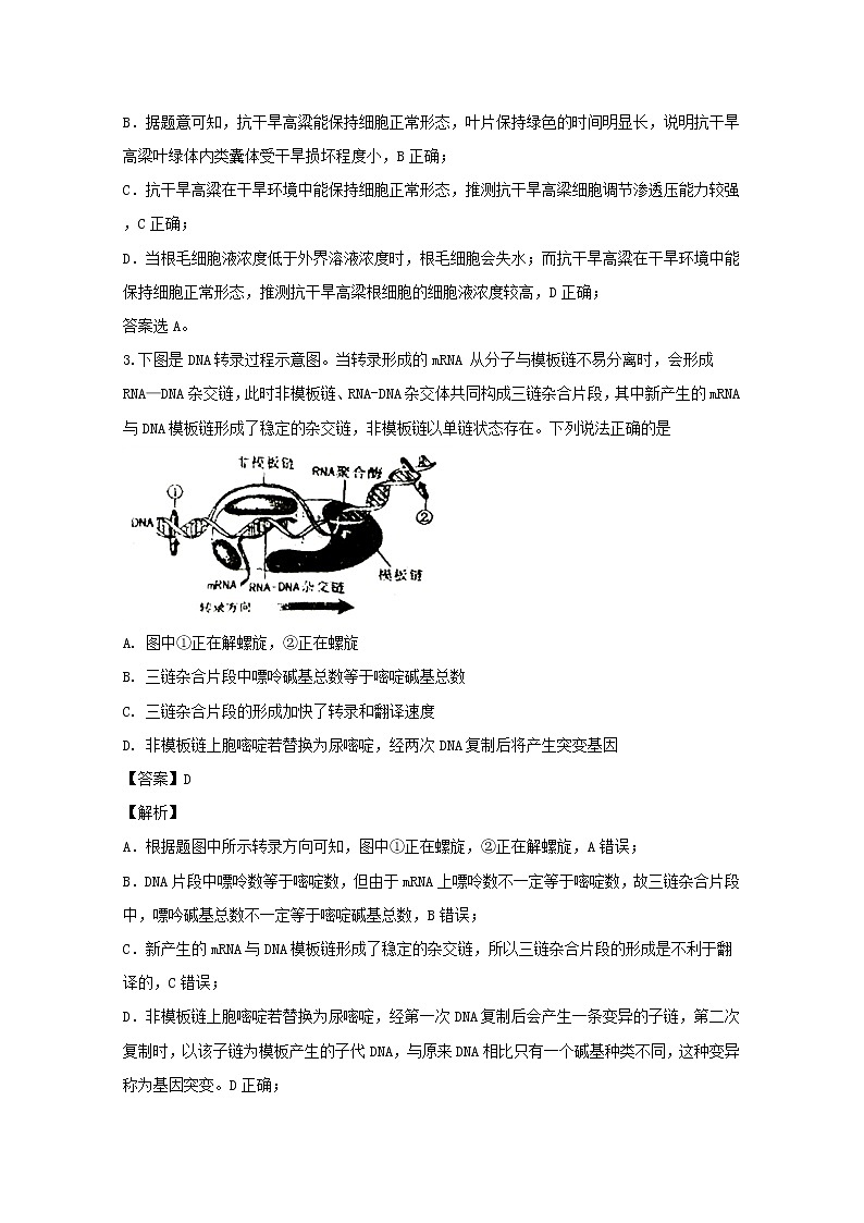 高中生物福建省南平市2018届高三生物上学期第一次综合质量检查(2月)试题(含解析)第2页