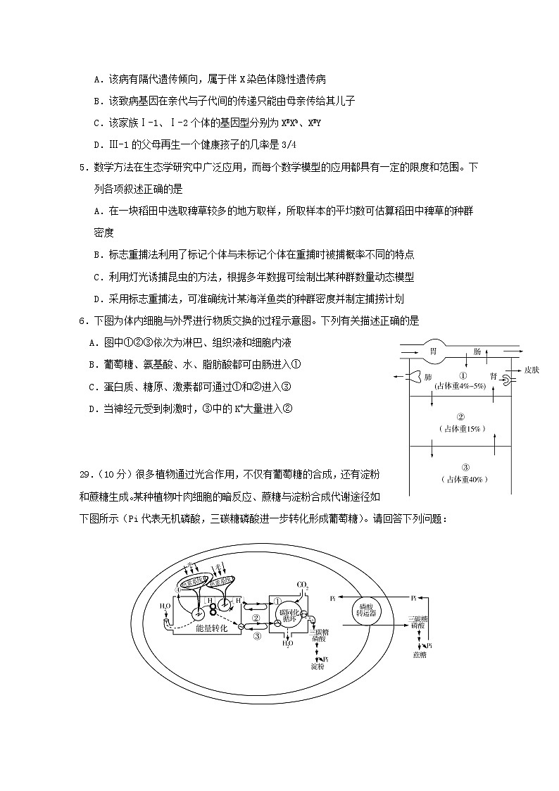 高中生物广东省深圳市高级中学2019届高三生物适应性考试(6月)试题第2页