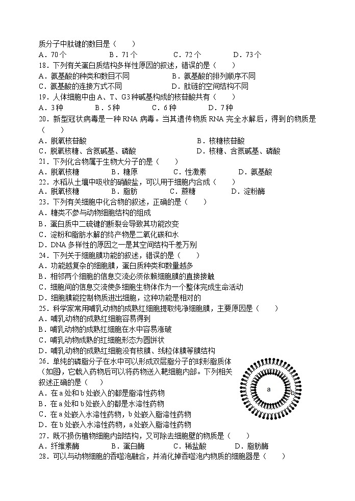 2023江苏省洪泽中学六校联考高一上学期期中生物试题含答案03