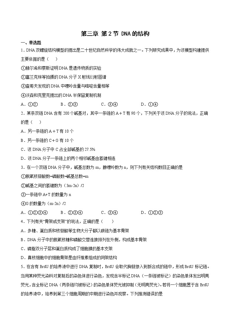 3.2 DNA的结构(练习)第1页