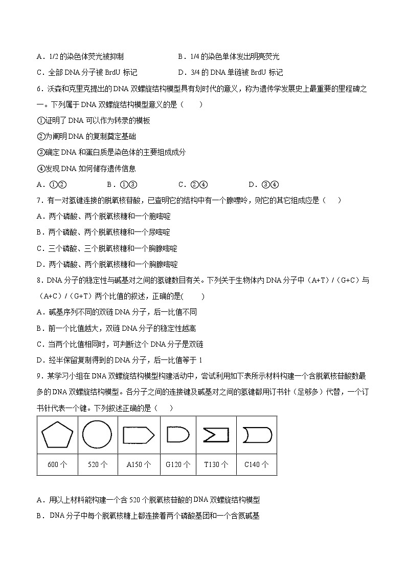 3.2 DNA的结构(练习)第2页