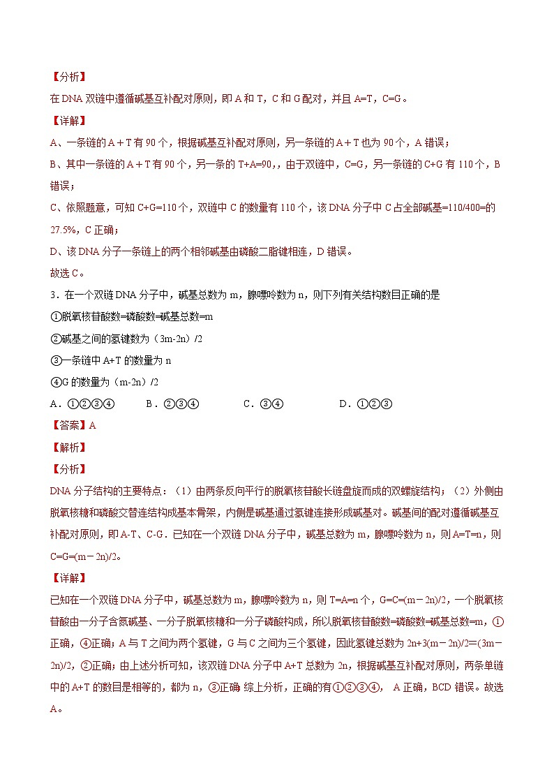 3.2 DNA的结构(练习)(含答案解析)第2页