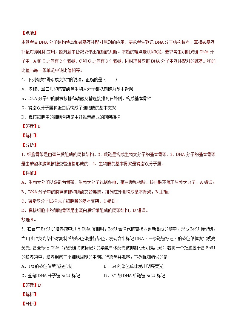 3.2 DNA的结构(练习)(含答案解析)第3页