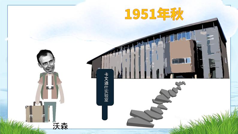 3.2 DNA的结构第4页