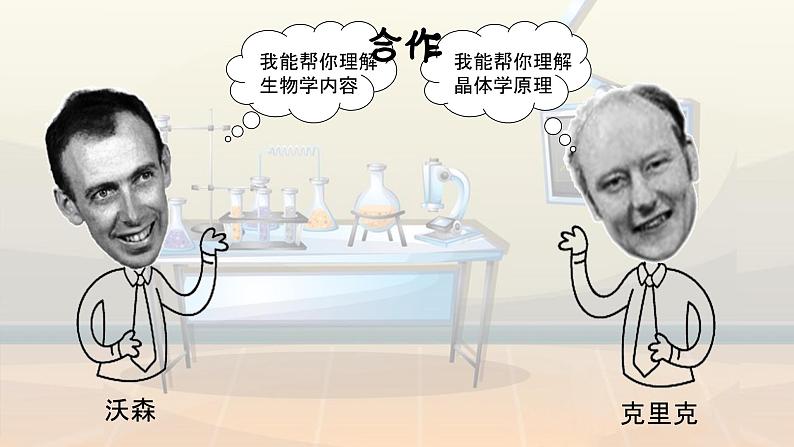 3.2 DNA的结构第5页