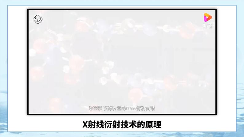 3.2 DNA的结构第8页