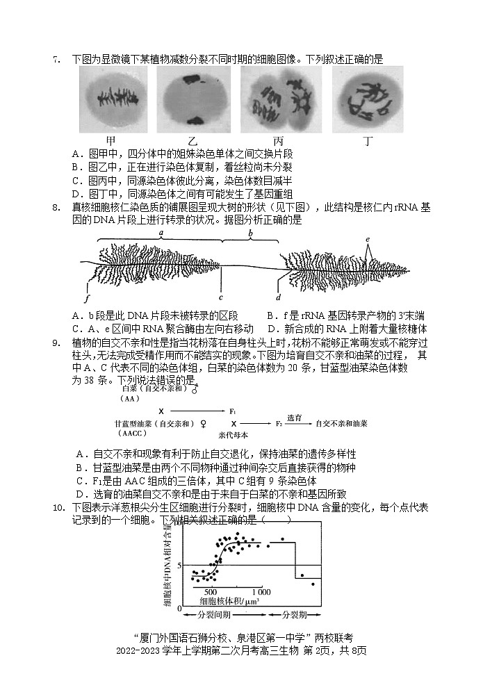 福建省厦外石狮分校、泉港一中两校联考2022-2023学年高三上学期第二次月考生物试题第3页