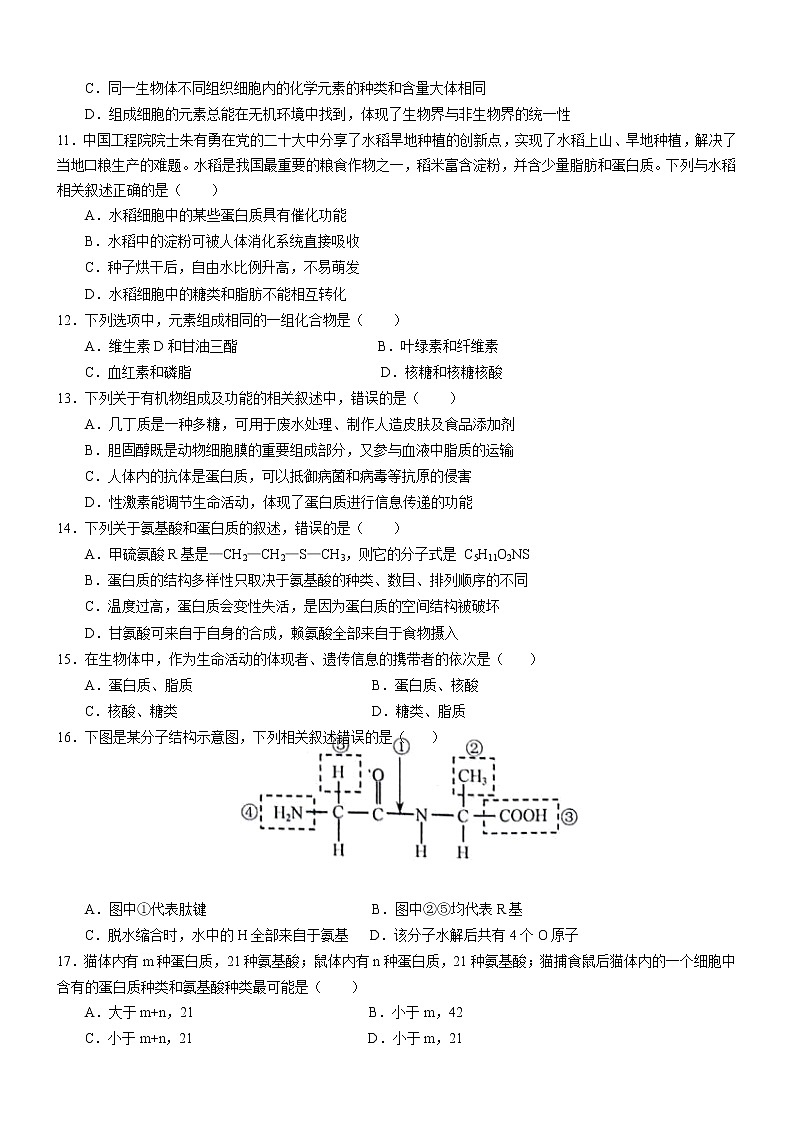 重庆市育才中学校2022-2023学年高一生物上学期期中考试试题(Word版附答案)第3页