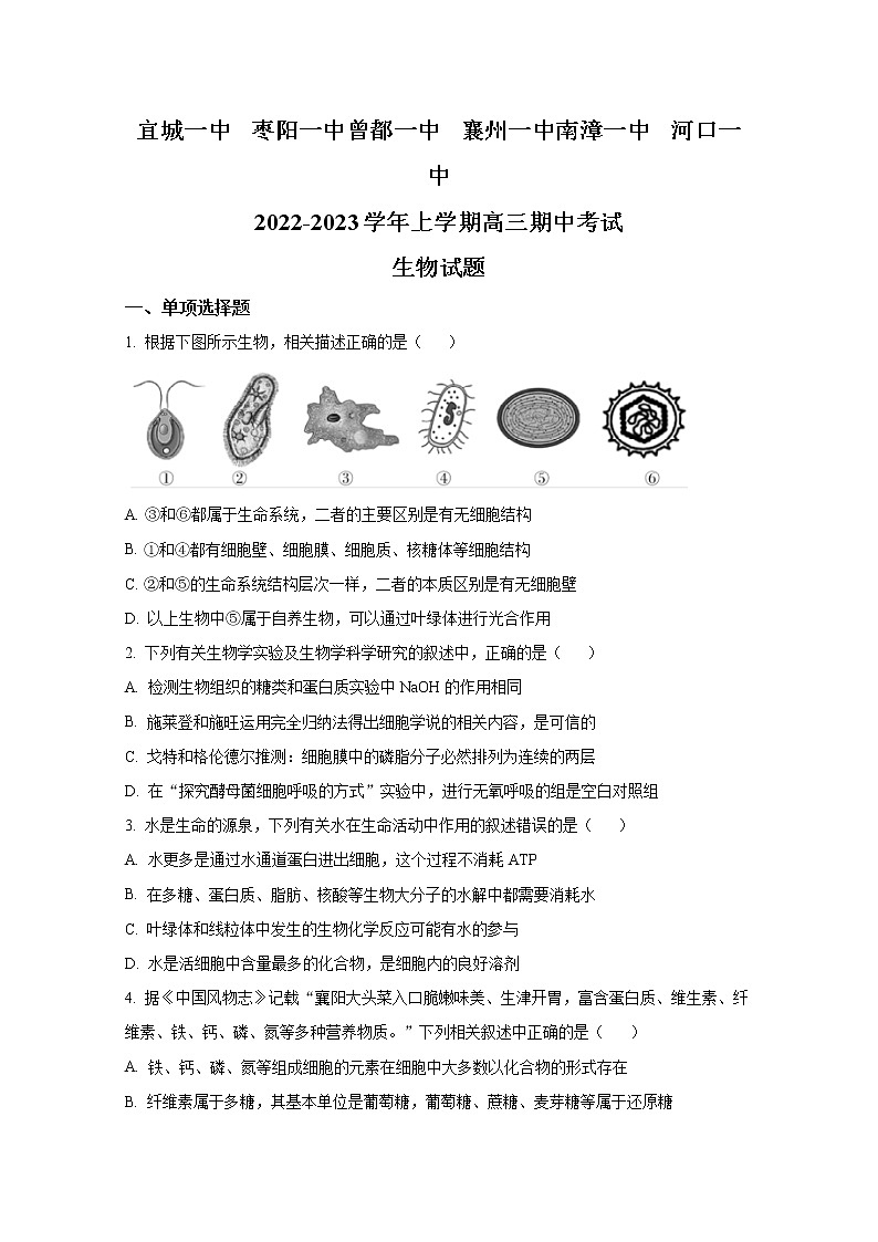 湖北省宜城一中、枣阳一中等六校联考2022-2023学年高三生物上学期期中考试试题(Word版附答案)第1页