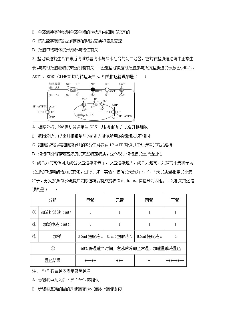 湖北省宜城一中、枣阳一中等六校联考2022-2023学年高三生物上学期期中考试试题(Word版附答案)第3页