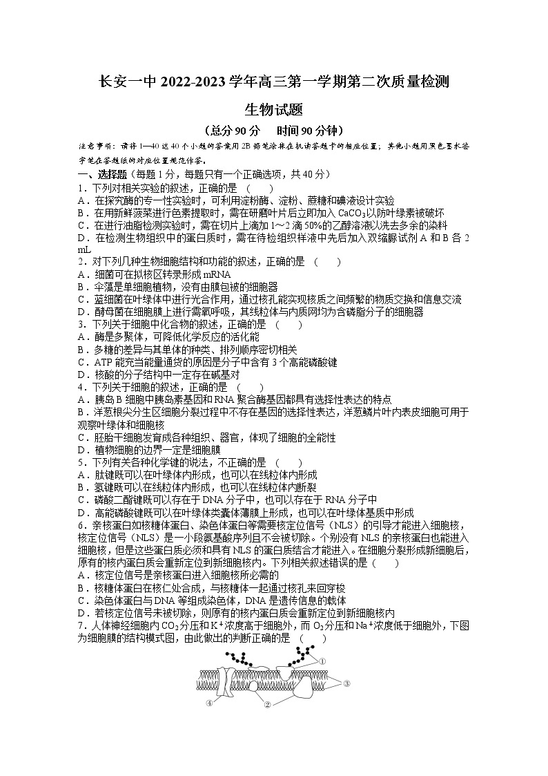 陕西省西安市长安区第一中学2022-2023学年高三生物上学期第二次质量检测（Word版附答案）01