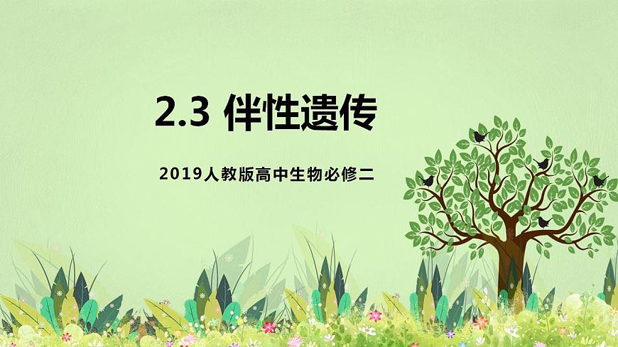 2019人教版高中生物必修二2.3《伴性遺傳》課件第1頁