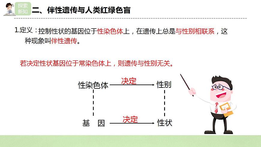 2019人教版高中生物必修二2.3《伴性遺傳》課件第5頁