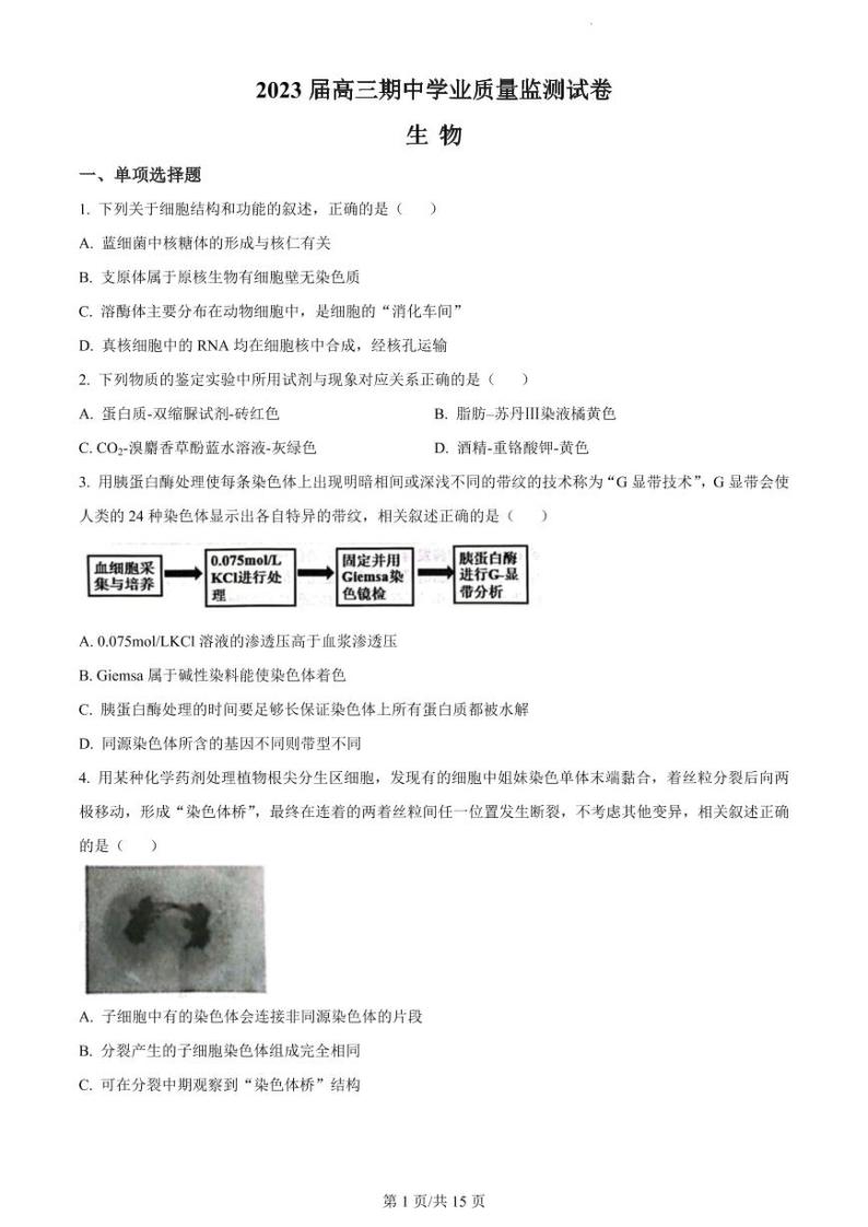 江苏省南通市海安市2022-2023学年高三上学期期中考试生物试题01