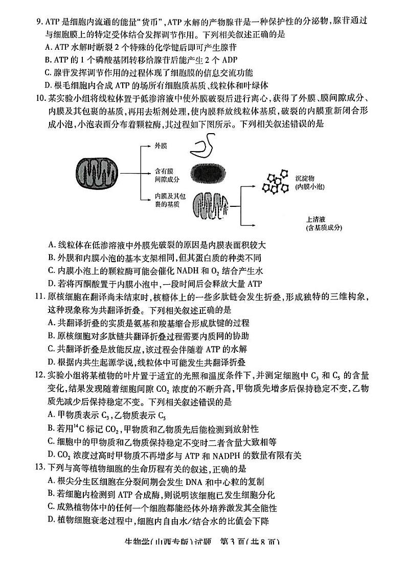 生物试卷山西省三晋名校联盟2022—2023学年高三上学期毕业班阶段性测试第3页