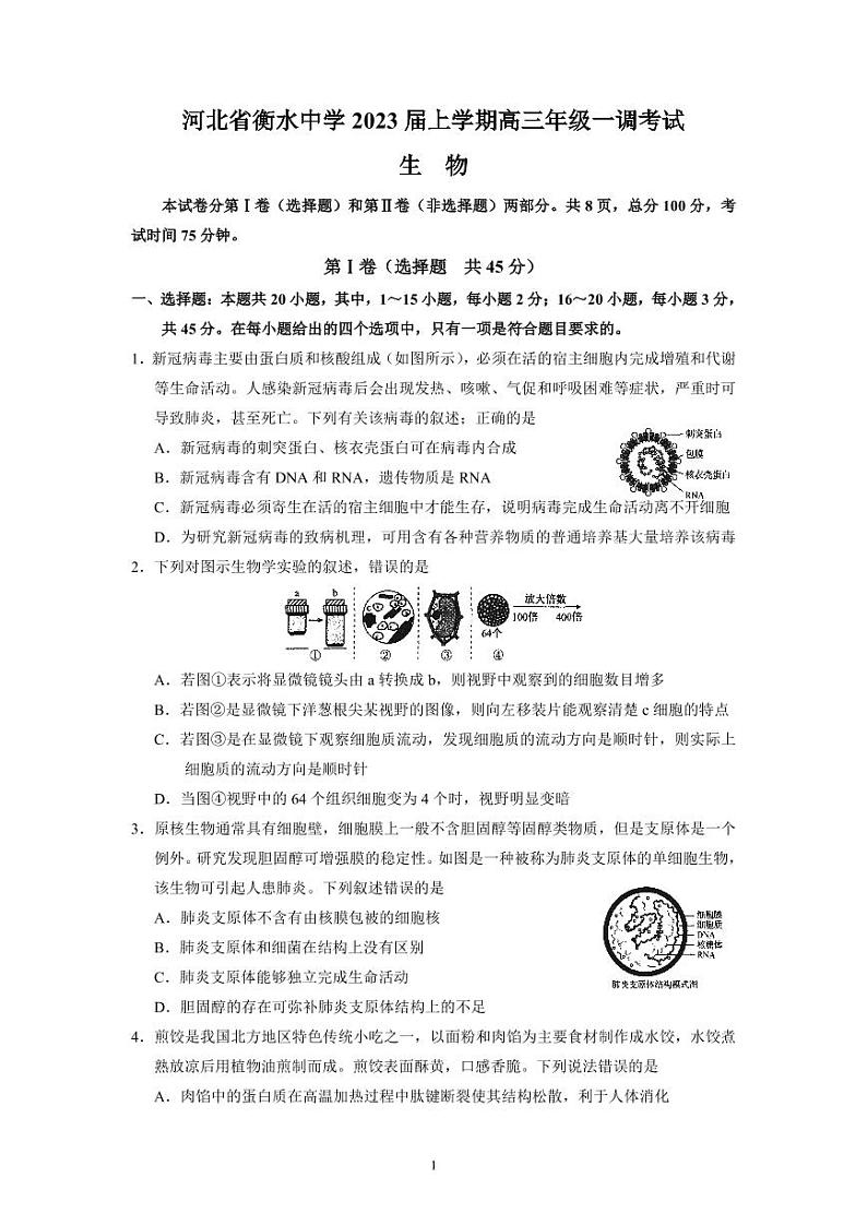 河北省衡水中学2022-2023学年高三上学期一调考试 生物试题(含答案)01