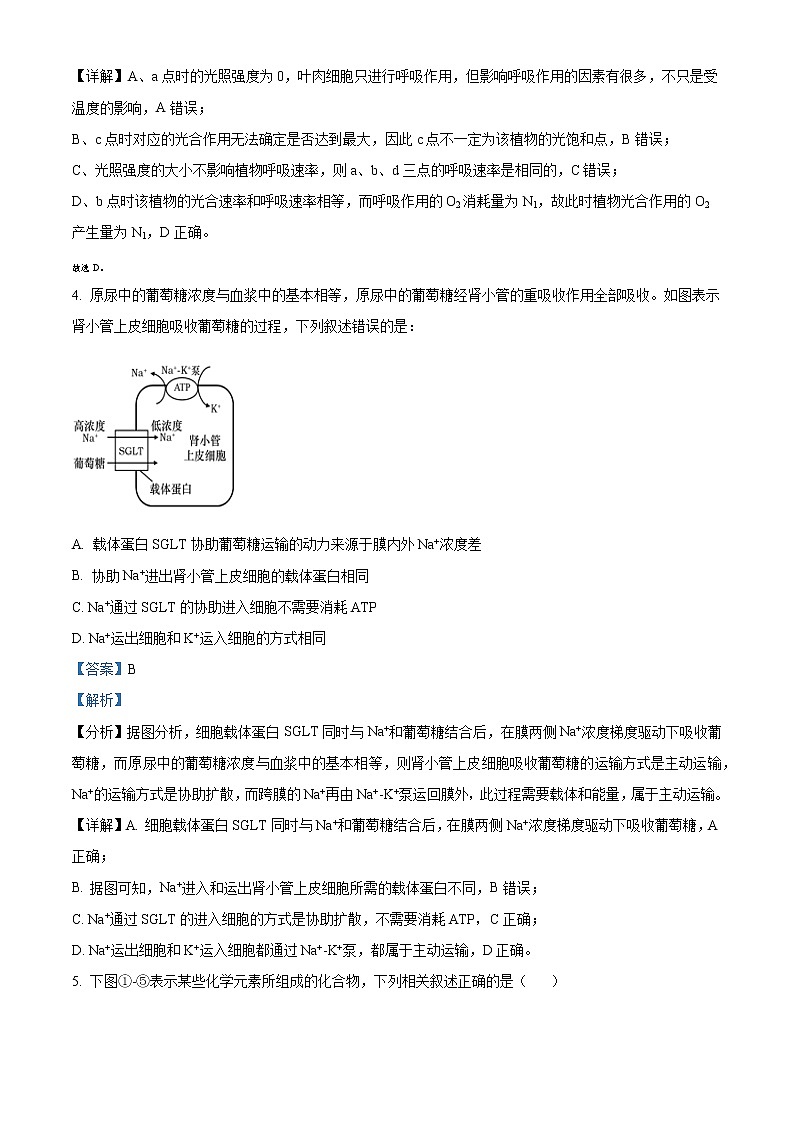 新疆乌鲁木齐市第135中学2022-2023学年高三9月月考生物试题含解析第3页
