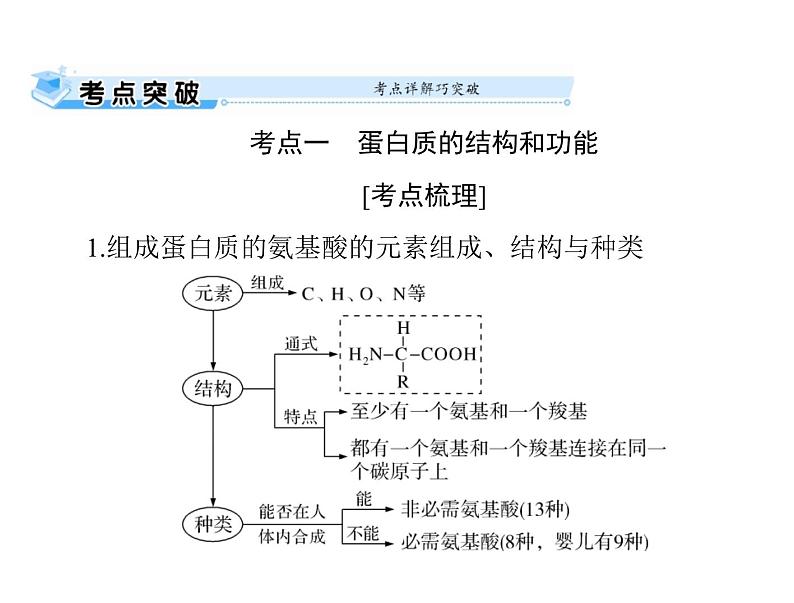 2022年《南方新课堂 高考总复习》生物 必修1 第2章 第2节 生命活动的主要承担者——蛋白质课件第2页