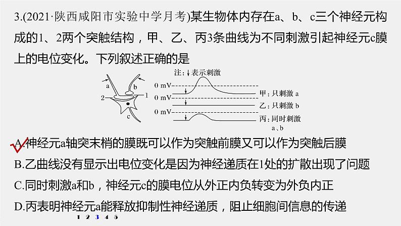 高中生物2022年高考生物一轮复习 第8单元 强化练16 兴奋传导与传递的相关实验探究课件PPT第6页