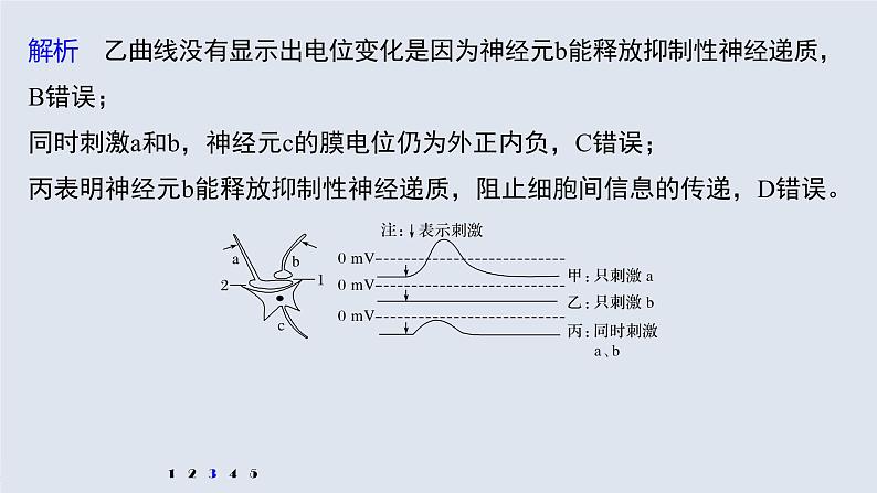 高中生物2022年高考生物一轮复习 第8单元 强化练16 兴奋传导与传递的相关实验探究课件PPT第7页