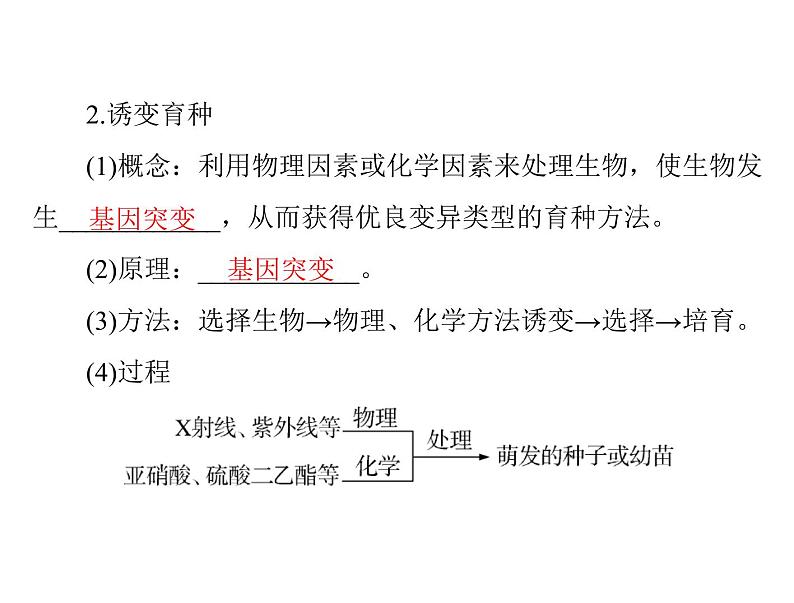 2022年《南方新课堂 高考总复习》生物 必修2 第6章 第1、2节 杂交育种与诱变育种、基因工程及其应用课件第7页
