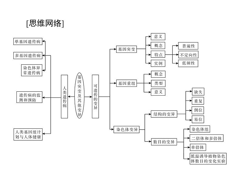 2022年《南方新课堂 高考总复习》生物 必修2 第5章 第1节 基因突变和基因重组课件第3页