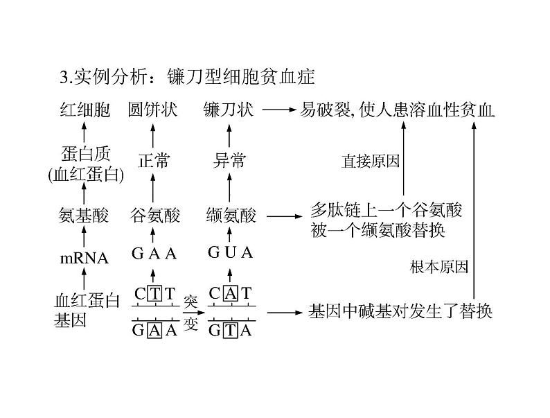2022年《南方新课堂 高考总复习》生物 必修2 第5章 第1节 基因突变和基因重组课件第6页