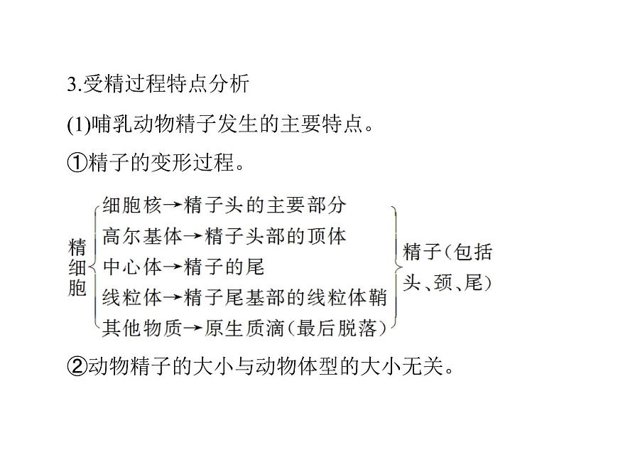 2022年《南方新課堂 高考總復習》生物 選修3 專題3 胚胎工程課件第7頁